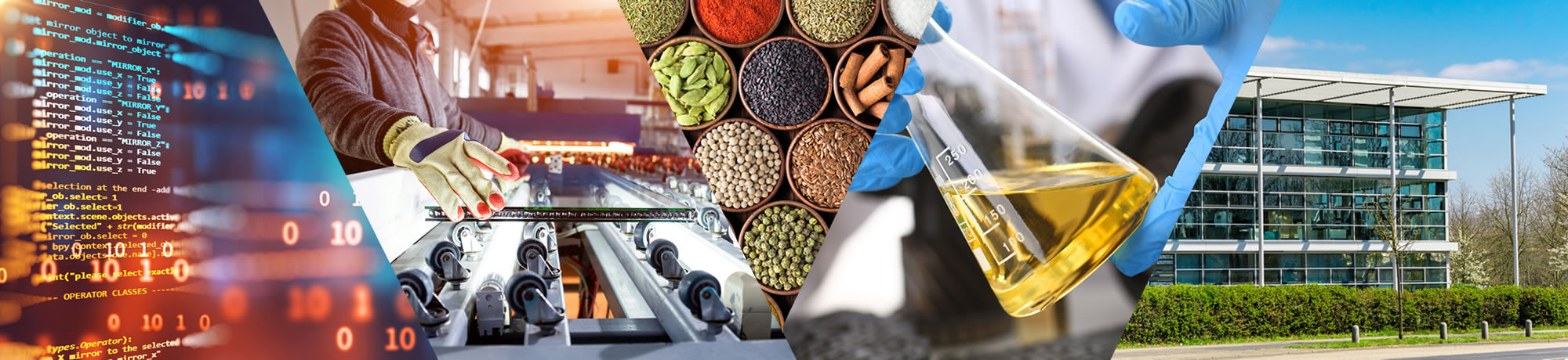 Pionier subsidie- en innovatieadvies